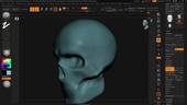 Sculpting the Human Skull