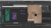 FACS Rigging for Facial Motion Capture